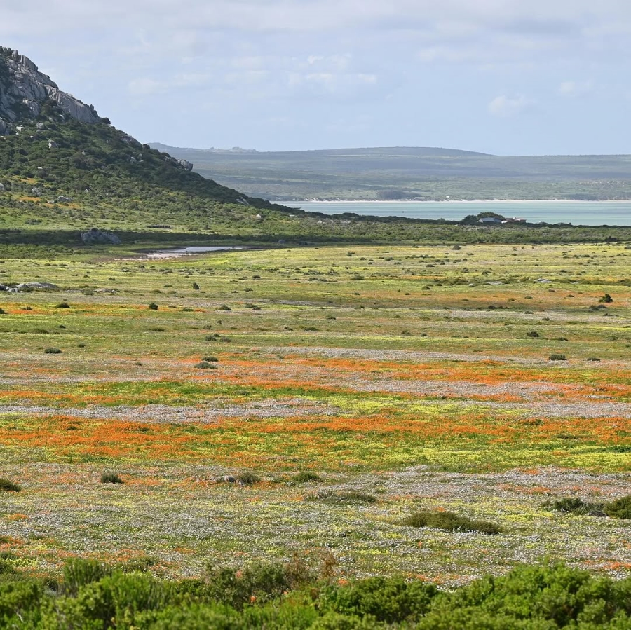 3 Bedroom Property for Sale in Shark Bay Estate Western Cape
